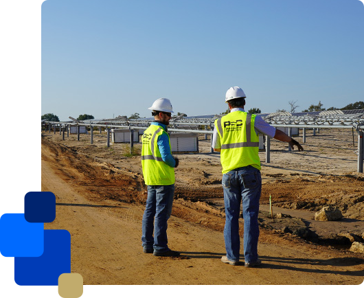 Survey & Mapping